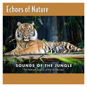 优秀处女开苞高潮毛片
